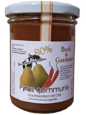 Pyrus communis mit Chili